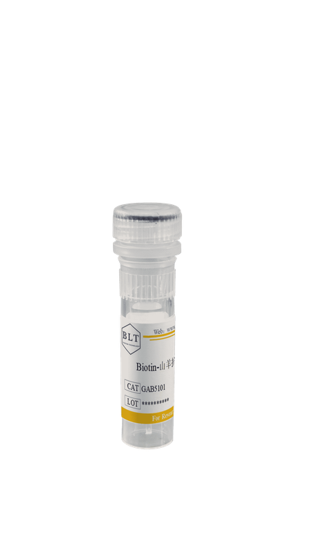 Biotin-山羊抗兔IgG (H+L)