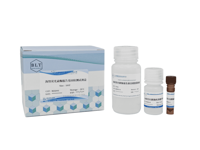 海肾荧光素酶报告基因检测试剂盒Renilla Luciferase Reporter Gene Assay
