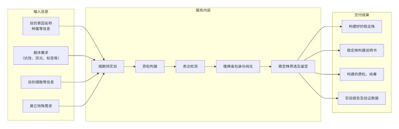 稳定细胞株构建服务