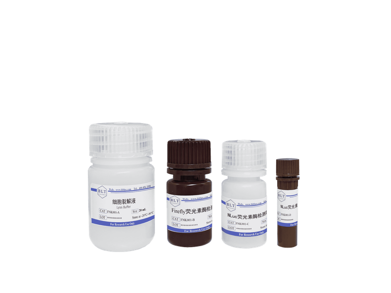 Nano&萤火虫双荧光素酶报告基因检测试剂盒Nano&Firefly Luciferase Reporter Gene Assay Kit
