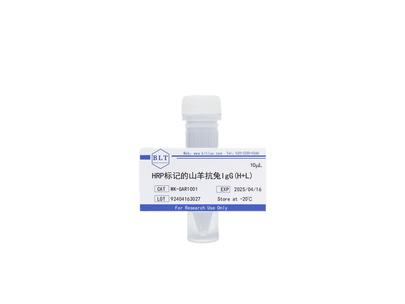 HRP标记的山羊抗兔IgG(H+L)