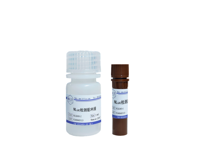 NLuc荧光素酶检测试剂盒Nano Luciferase Reporter Gene Assay Kit