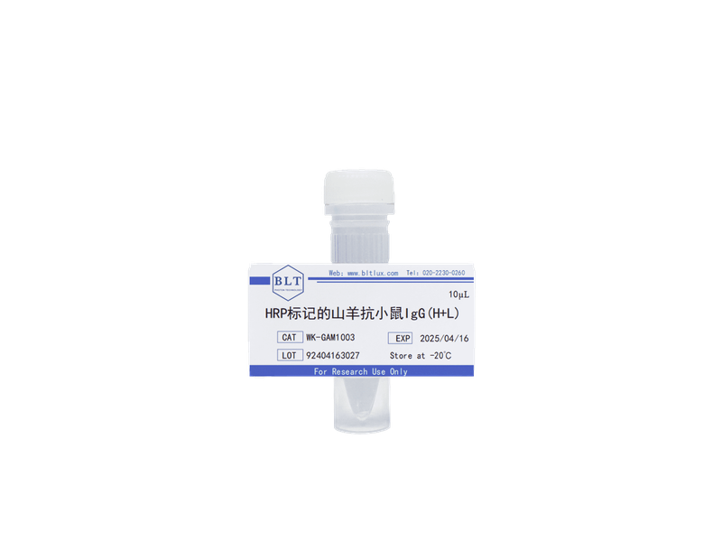 HRP标记的山羊抗小鼠IgG(H+L)