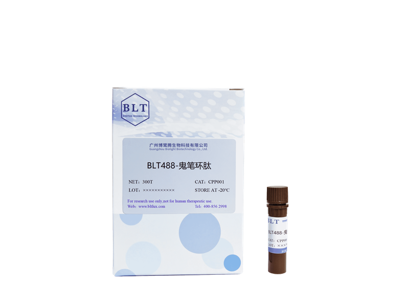 细胞骨架绿色荧光探针 BLT488-鬼笔环肽