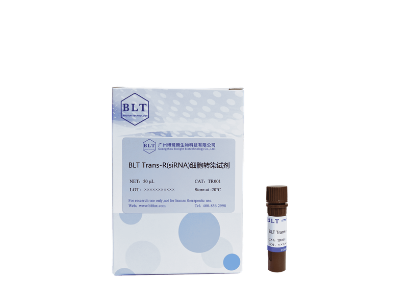 BLT Trans-R(siRNA)细胞转染试剂
