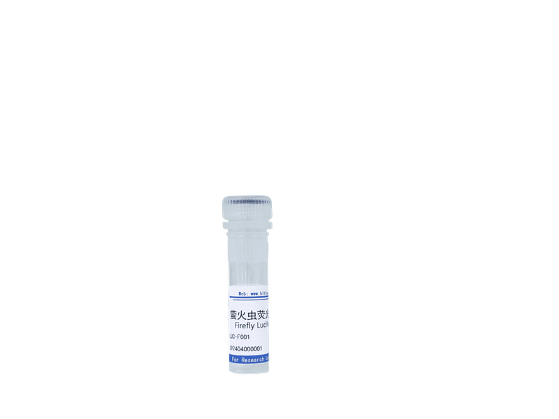 萤火虫荧光素酶 Firefly Luciferase